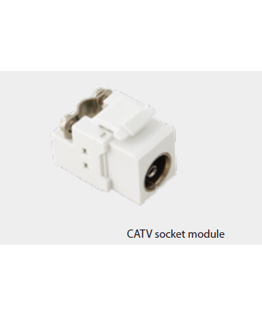 CATV socket module